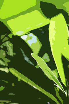 森林圖像的葉子