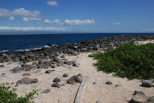 圣地亞哥島