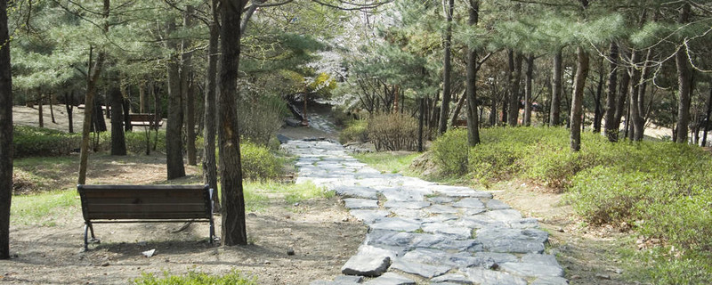 公園小路的全景。