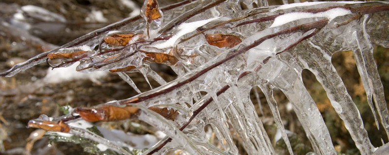 Frozen離開