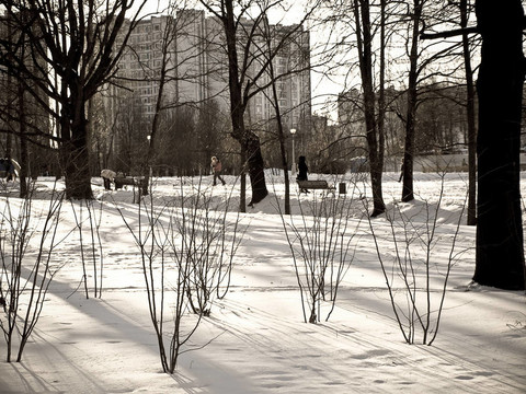 城市公園冬季觀