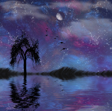 景觀的星星