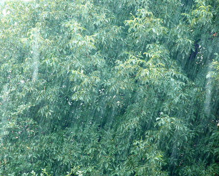 下雨天