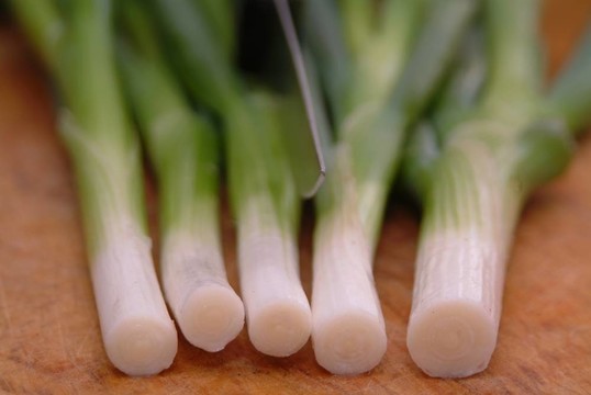 大蒜洋蔥