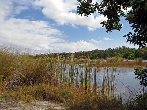 景觀Wildlife Refuge