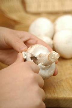如何切蘑菇