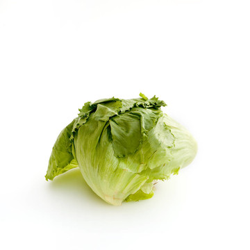 生菜白
