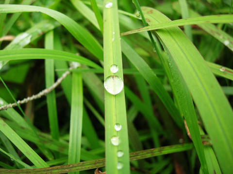 水滴