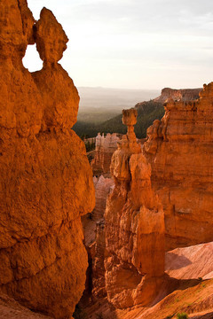 Bryce Canyon Hoodoos在森賴(lài)斯