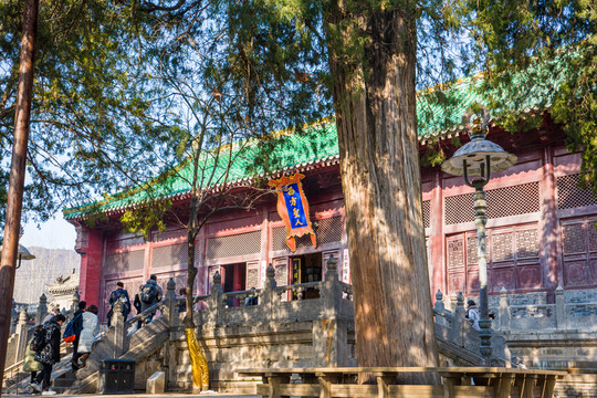 少林寺 西方圣人