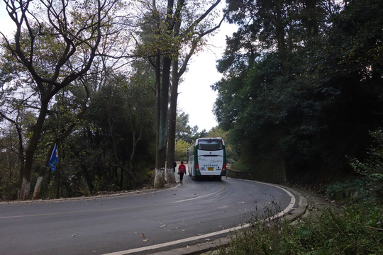 路