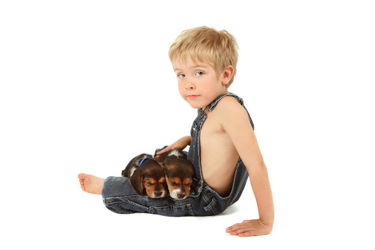 小男孩坐在他的膝上犬幼犬
