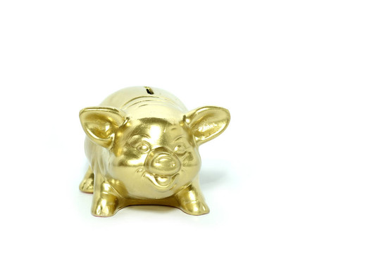 金色的小豬存錢罐