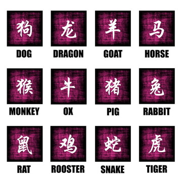 中國的生肖