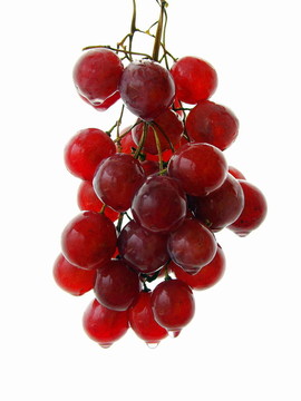 葡萄
