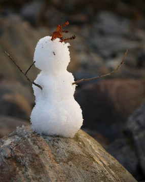 原始的雪球
