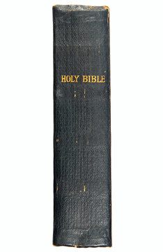 老維多利亞圣經(jīng)的書(shū)脊印在1882。