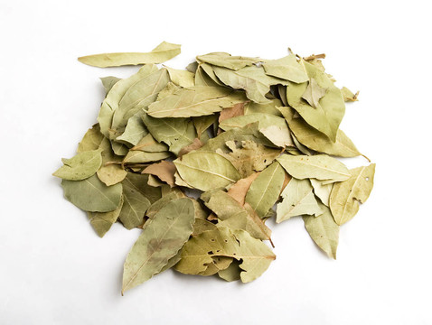 月桂樹(shù)葉