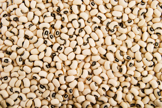 黑眼豆豆