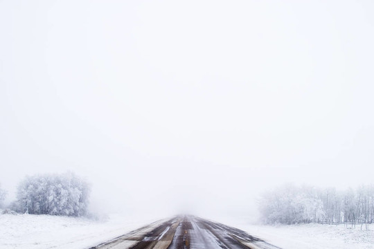 Fog草原之路