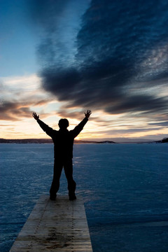 Frozen Lake的人