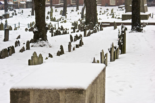 在雪中的一排排的墳墓