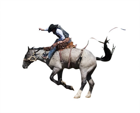 裁剪路徑Saddle Bronc