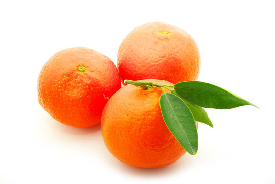 Tangerine夜店