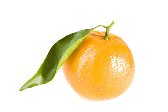 Tangerine夜店與葉