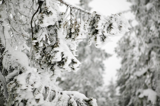 風吹雪細節(jié)