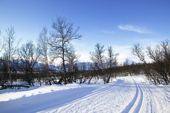 越野滑雪道