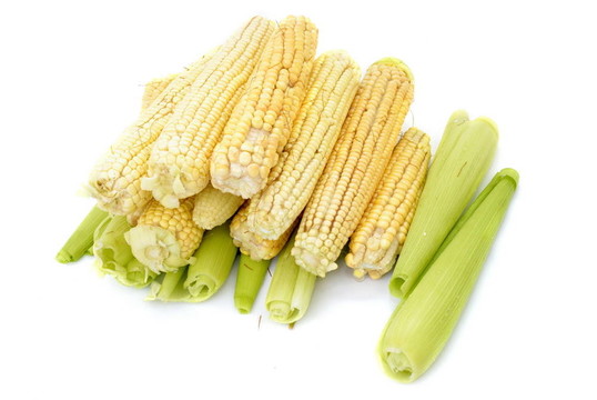 玉米