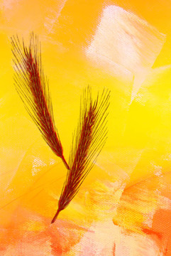 抽象的形狀和顏色