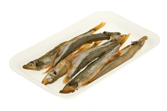 毛鱗魚
