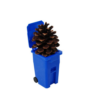 Pinecone和回收箱
