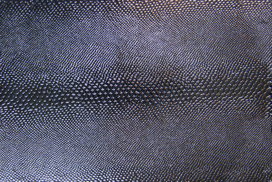 Black Snakeskin的紋理