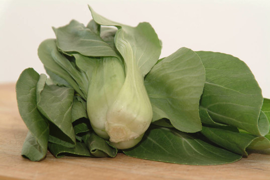小白菜的蔬菜
