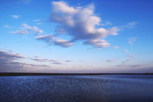 黃昏的Low Tide