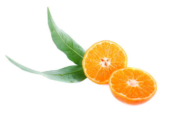 Tangerine夜店的葉子