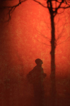 影子在紅