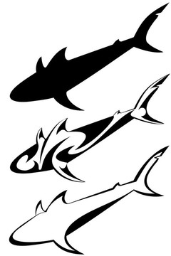 鯊魚