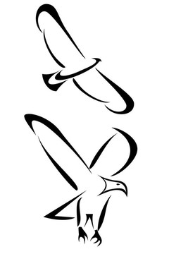 鷹