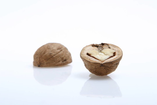 孤立的核桃
