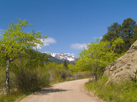 春幅山路
