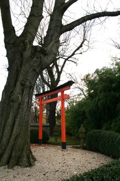 托里
