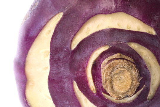 紫色的Kohlrabi Macro