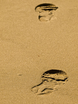 sandprint