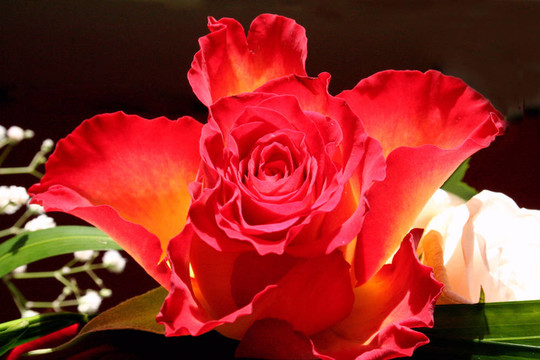 花