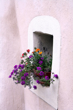 花