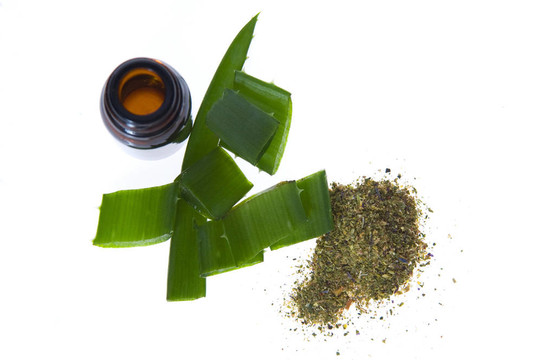 蘆薈